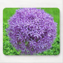 Recherche de boules tapis souris Balle