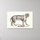 Recherche de tiger impressions sur toile Animaux