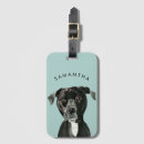 Suche nach hundekunst accessoires Niedlich