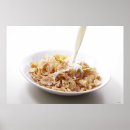 Recherche de lait posters Photographie