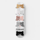 Recherche de chaton skateboards Chats