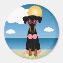 Suche nach zwergpinscher magnete Niedlich