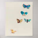 Recherche de illustration papillon posters Vintage