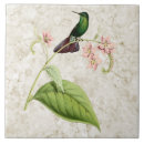 Suche nach hummingbird fliesen Tropisch