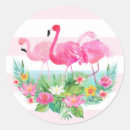 Recherche de flamands autocollants Flamingle