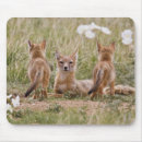 Suche nach weibchen mousepads Weiblich