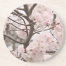 Suche nach cherry blossom untersetzer Natur