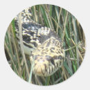 Suche nach gras aufkleber Naturfotografie