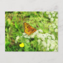 Recherche de fleurs noires et blanches cartes postales Jardin