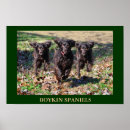 Suche nach spaniels kunst Jagd