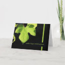 Suche nach trauben blätter karten Blatt