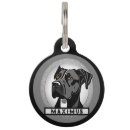 Recherche de grands danois Dogs