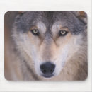 Suche nach fleischfresser mousepads Tierwelt