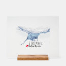 Suche nach mantarochen poster Meer