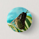 Recherche de ailes papillon badges Jolie