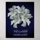 Suche nach hibiskus blume poster Zitat