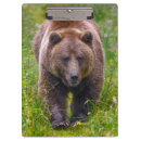Recherche de ours brun porte blocs Étourdi
