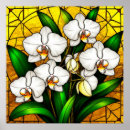 Suche nach elegante orchidee poster Weiße blumen
