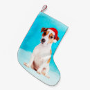 Recherche de cric russel Noël de chien
