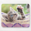Recherche de chaton tapis souris Horizontal