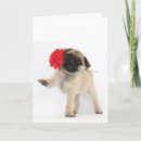 Suche nach mops valentine karten Welpe