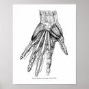 Recherche de vieilles illustrations posters Antique