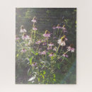 Suche nach sonne blume puzzle Sommer
