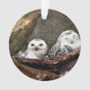 Suche nach zwei ornamente Weiß