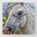 Suche nach schöne pferde wanduhren Pony