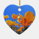 Suche nach mohnblumen ornamente Wild