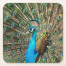 Suche nach fasan untersetzer Blau
