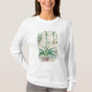 Recherche de plantes autres 15ème