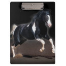 Recherche de cheval porte blocs Photographie