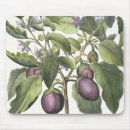 Suche nach 17 jahrhundert mousepads Botanisch