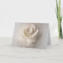Suche nach camelia Blumenreich