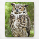 Recherche de hibou cornes tapis souris Grand