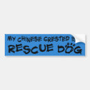 Recherche de crète voiture autocollants Chien