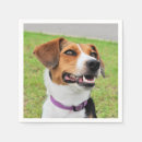 Recherche de beagle serviettes Mignon