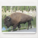 Suche nach in yellowstone mousepads Bison