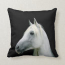 Recherche de poney blanc coussins Ferme