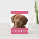 Recherche de chocolat labrador retriever vœux cartes Chiot