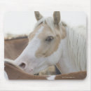 Suche nach herde mousepads Wild lebende tiere