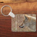 Recherche de coyote porteclés Faune