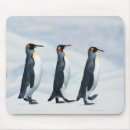 Suche nach penguin mousepads Natur
