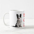 Recherche de chien de border collie tasses Chiot