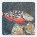 Suche nach bunte fische aufkleber Rot