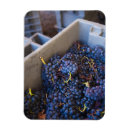 Recherche de pays basque magnets Automne