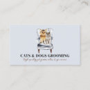 Recherche de chien yorkie cartes visite Vétérinaire