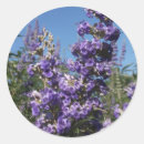 Suche nach purple aufkleber Blau
