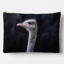 Recherche de autruche accessoires Portrait